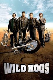 Wild Hogs