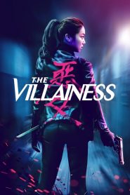 The Villainess