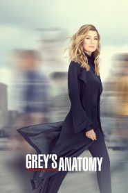 Grey’s Anatomy (Uvod u Anatomiju)