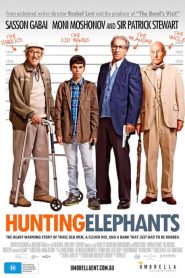 Hunting Elephants