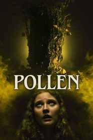 Pollen